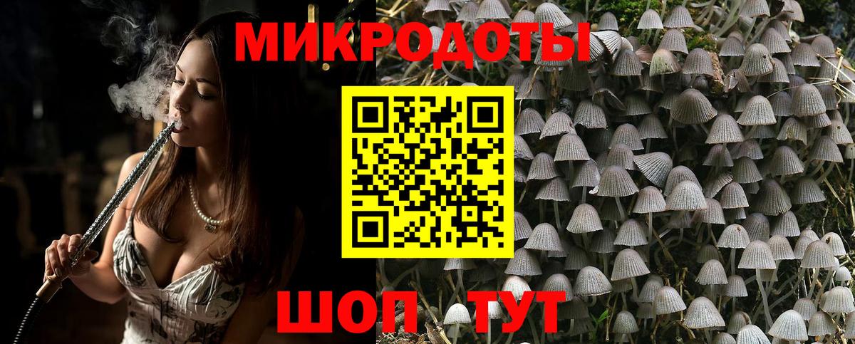Псилоцибиновые грибы MAGIC MUSHROOMS Камень-на-Оби